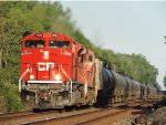 CP 7004 